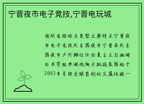 宁晋夜市电子竞技,宁晋电玩城